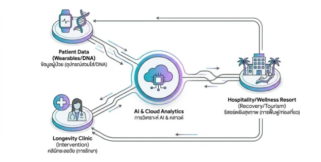 แผนภาพแสดงระบบนิเวศสุขภาพดิจิทัลที่ใช้ AI & Cloud Analytics ในการวิเคราะห์ข้อมูลผู้ป่วยจากอุปกรณ์สวมใส่ (Wearables) และ DNA โดยเชื่อมโยงการรักษาร่วมกับคลินิกชะลอวัย (Longevity Clinic) และการฟื้นฟูสุขภาพในรีสอร์ตเชิงสุขภาพ (Wellness Resort)