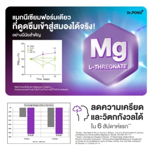 Dr.PONG Magtein® Magnesium L-Threonate 500 mg – บำรุงสมอง หลับสบาย ลดกังวล | โฟกัสดี