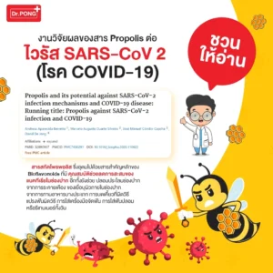 Dr.PONG Bee Propolis Supermint Mouth Spray – พ่นชุ่มคอ บรรเทาเจ็บคอ | สดชื่นทันที