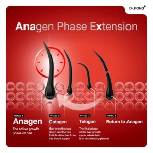 Dr.PONG ANA-X 30 Supplement – บำรุงสุขภาพ | ดูแลทุกวัน