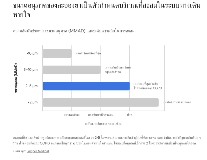 กราฟเปรียบเทียบความสัมพันธ์ระหว่างขนาดอนุภาคละอองยา (MMAD) และระดับความลึกในการสะสมในทางเดินหายใจ แสดงให้เห็นว่าอนุภาคขนาด 2-5 ไมครอน สามารถลงลึกสู่ปอดได้ดีและเหมาะสมที่สุดสำหรับการรักษาโรคหอบหืดและ COPD